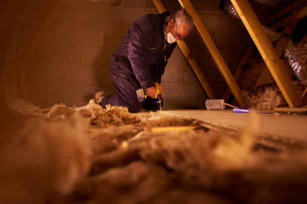 Best Insulation Installation Services in Medina, NY